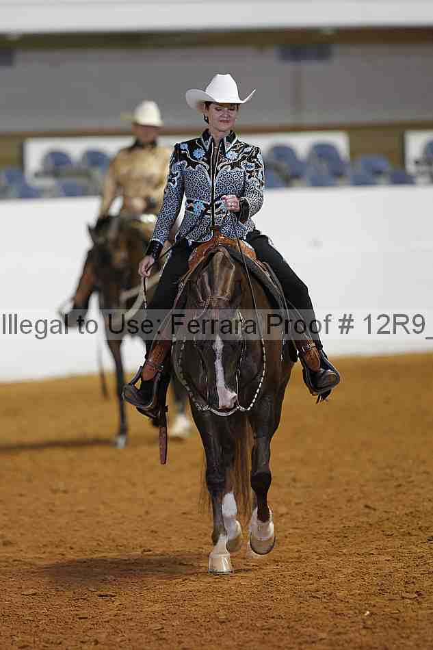 Proof Number 12r9_3504
