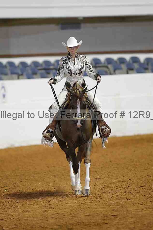 Proof Number 12r9_3510