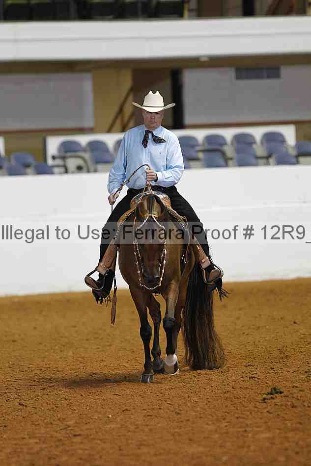 Proof Number 12r9_3511
