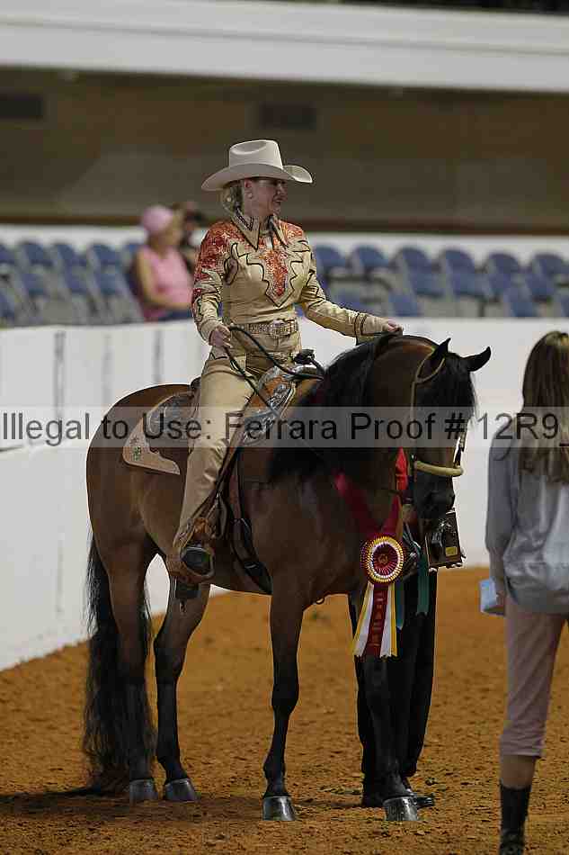 Proof Number 12r9_3522