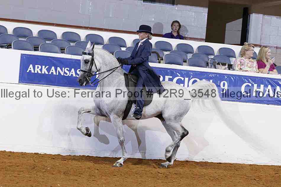 Proof Number 12r9_3548