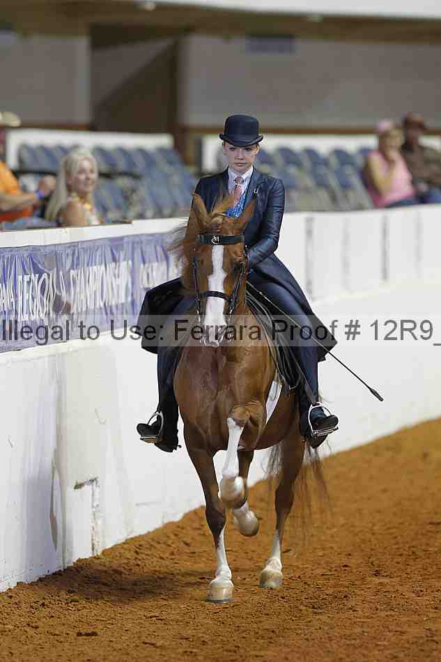 Proof Number 12r9_3552