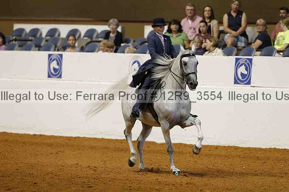 Proof Number 12r9_3554