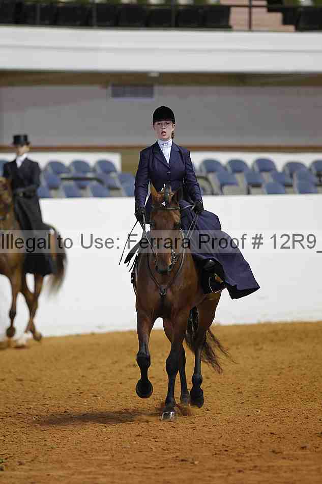 Proof Number 12r9_3594