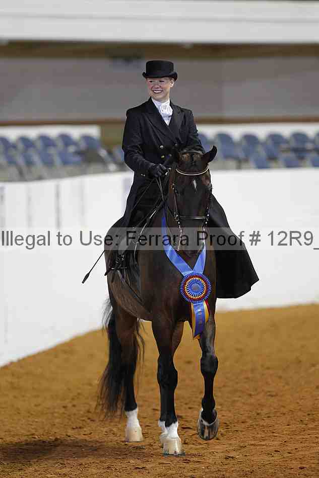 Proof Number 12r9_3615