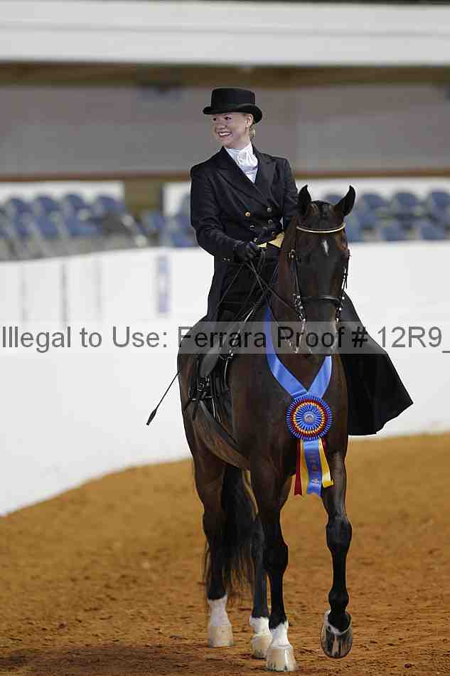 Proof Number 12r9_3617