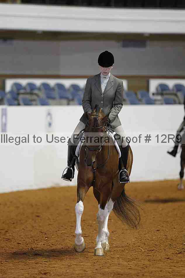 Proof Number 12r9_3693