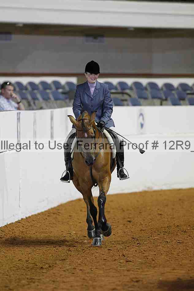 Proof Number 12r9_3695