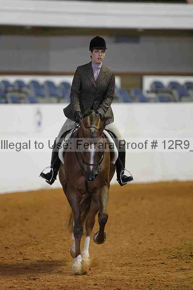 Proof Number 12r9_3701