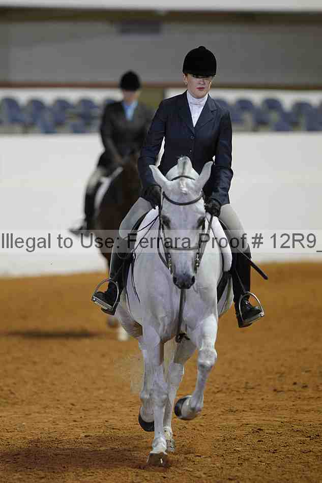 Proof Number 12r9_3710