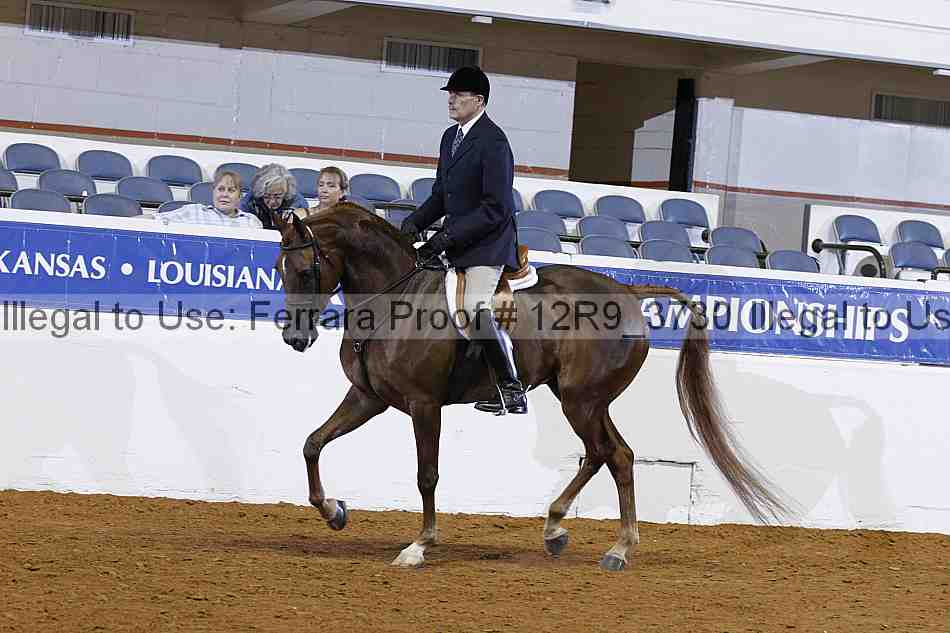 Proof Number 12r9_3730