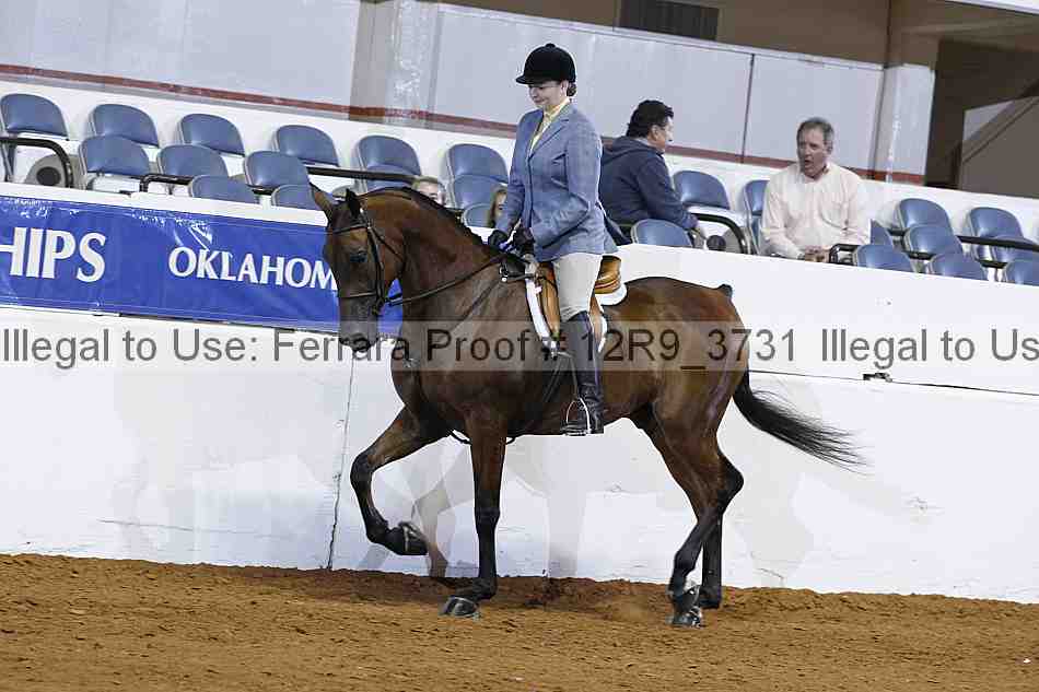 Proof Number 12r9_3731