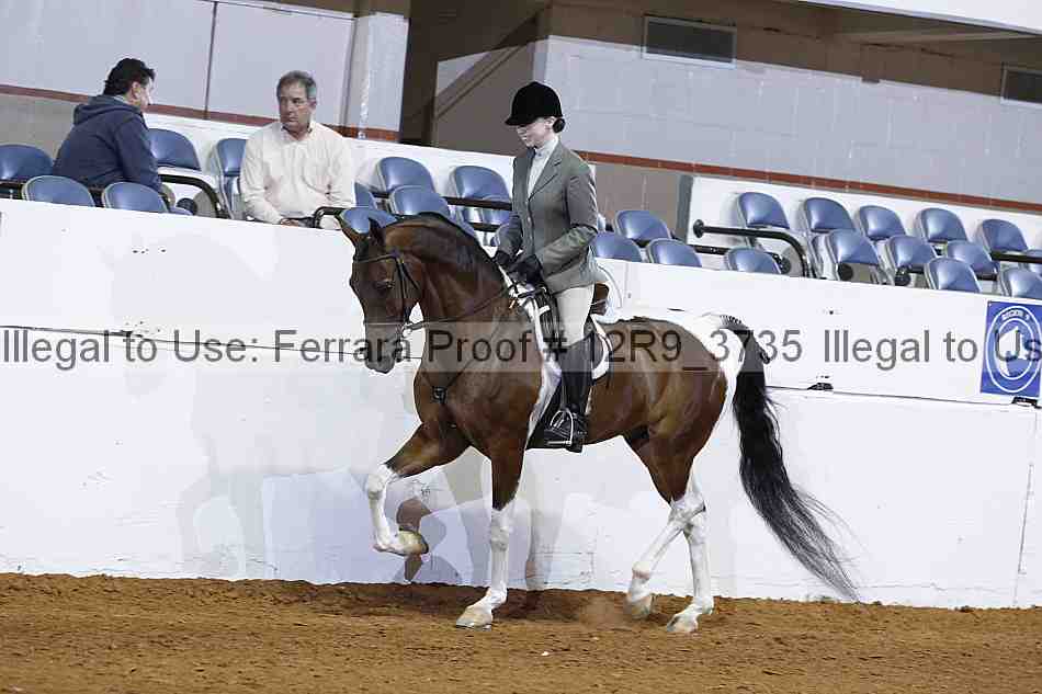Proof Number 12r9_3735