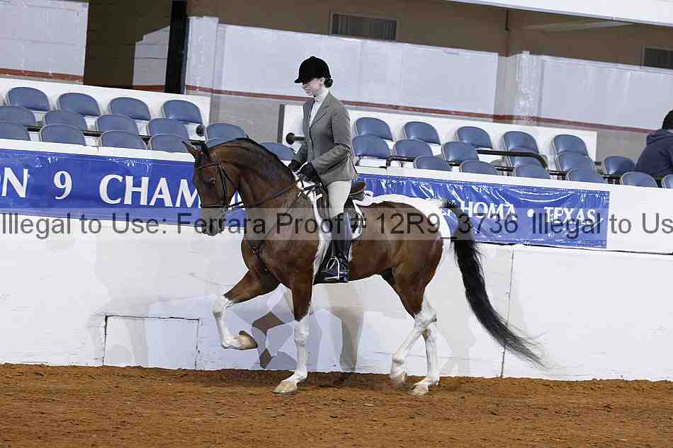 Proof Number 12r9_3736