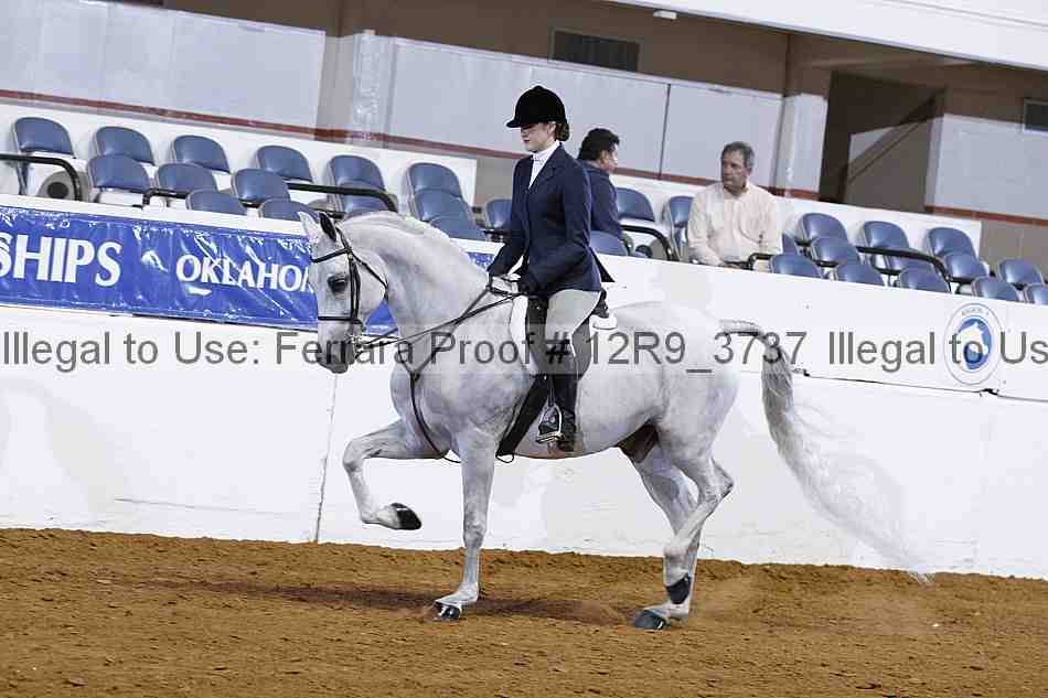 Proof Number 12r9_3737