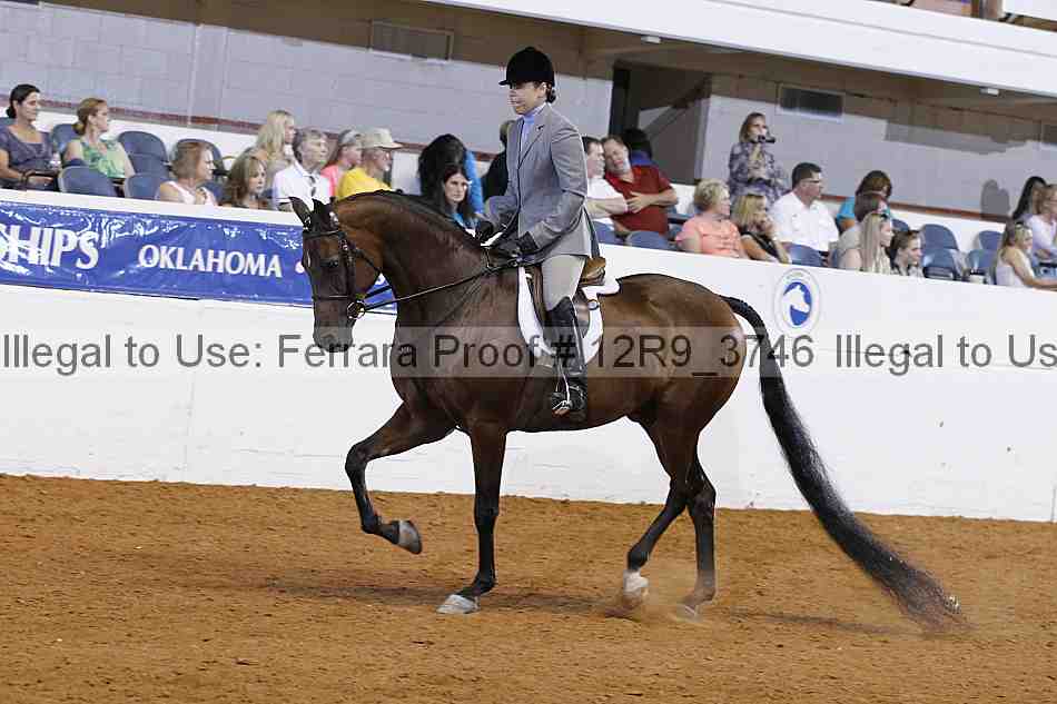 Proof Number 12r9_3746