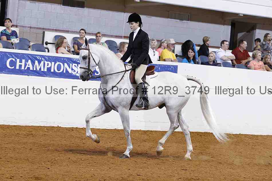 Proof Number 12r9_3749