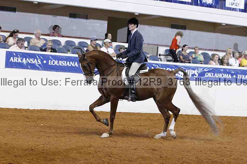 Proof Number 12r9_3763