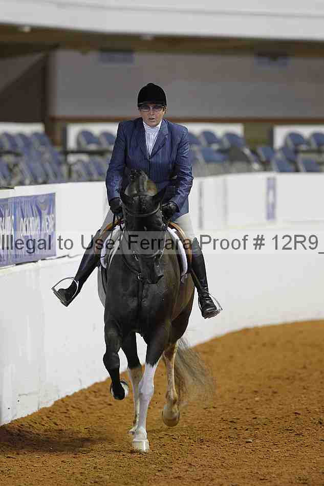 Proof Number 12r9_3782