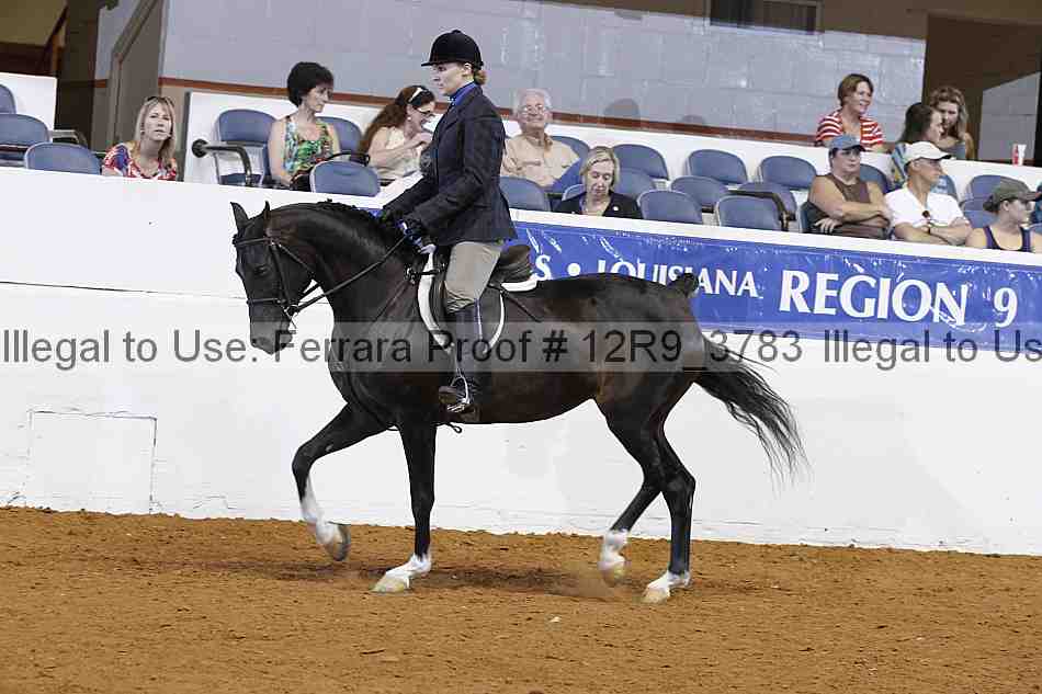 Proof Number 12r9_3783