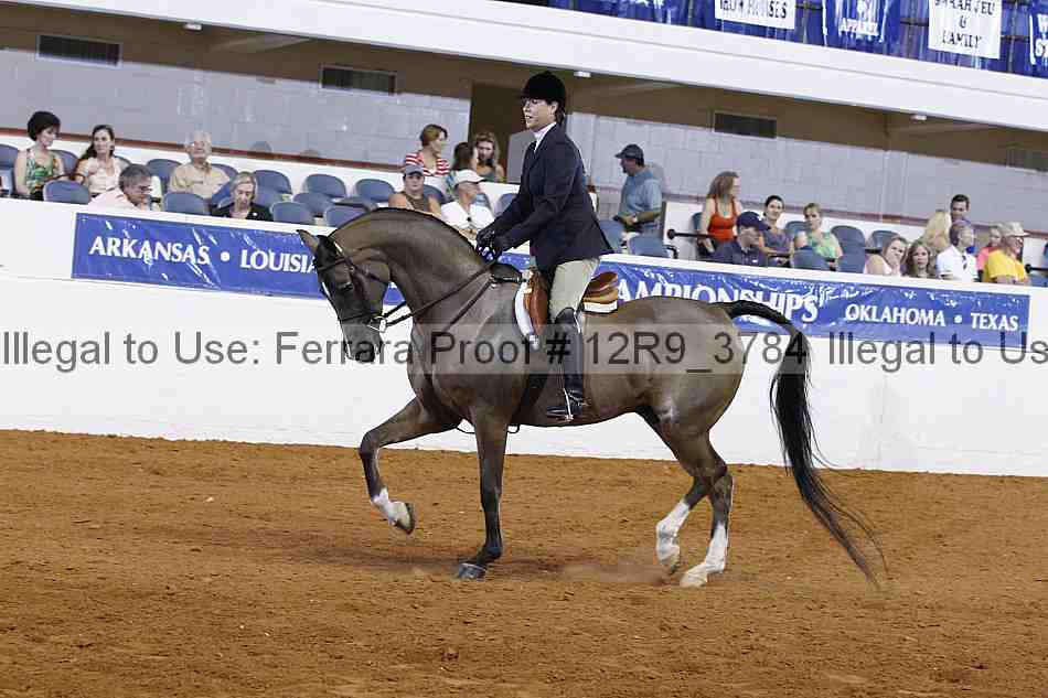 Proof Number 12r9_3784