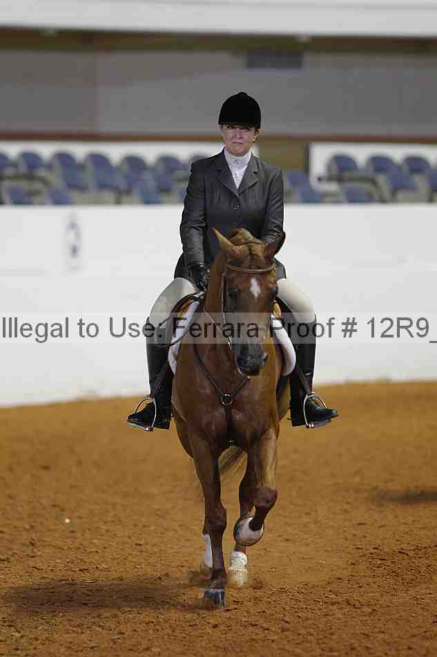 Proof Number 12r9_3791