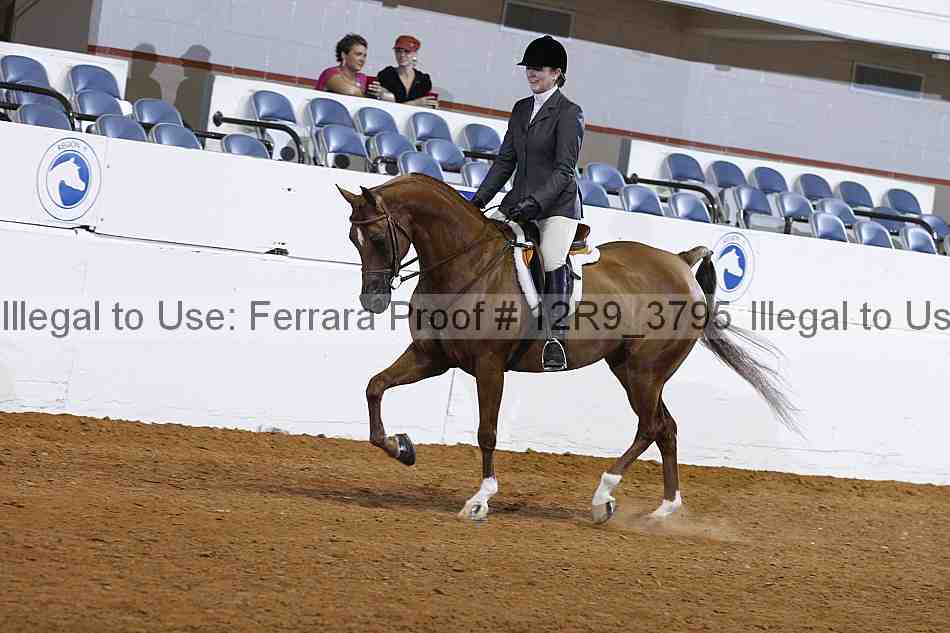 Proof Number 12r9_3795
