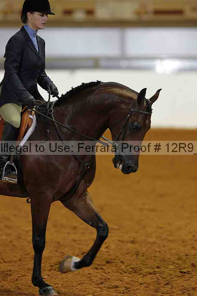 Proof Number 12r9_4628
