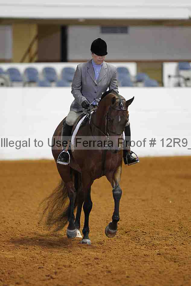 Proof Number 12r9_4633
