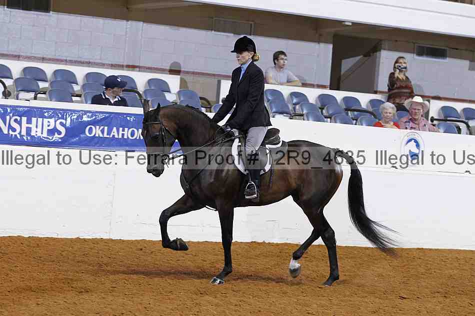 Proof Number 12r9_4635