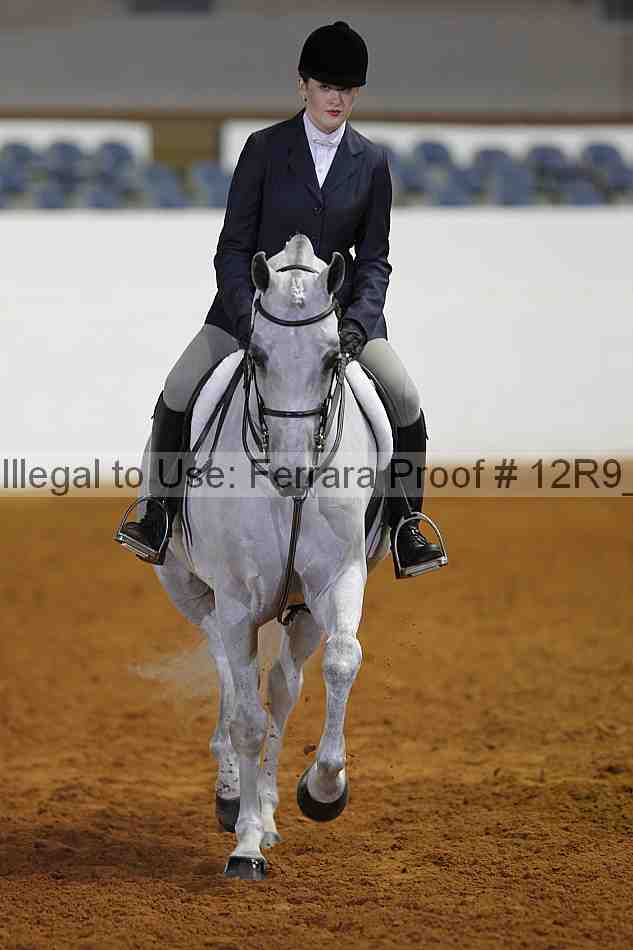 Proof Number 12r9_4636