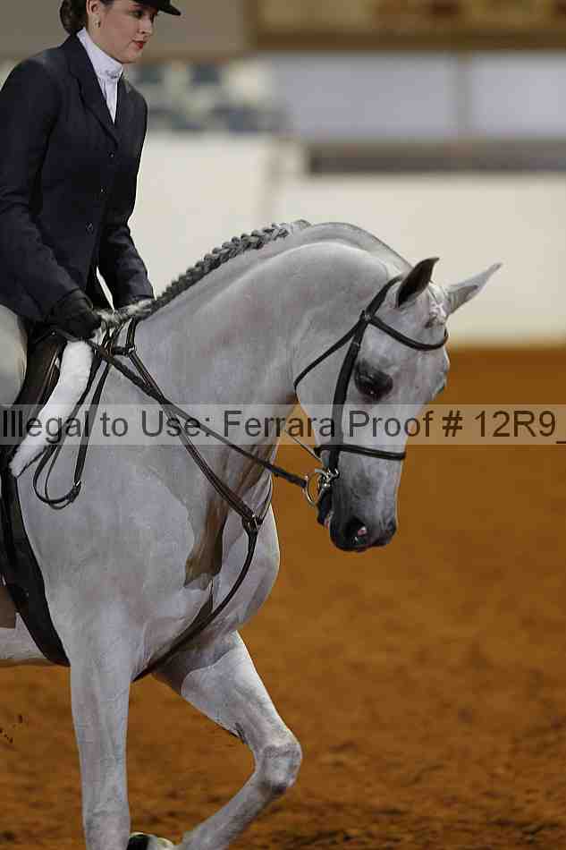 Proof Number 12r9_4637