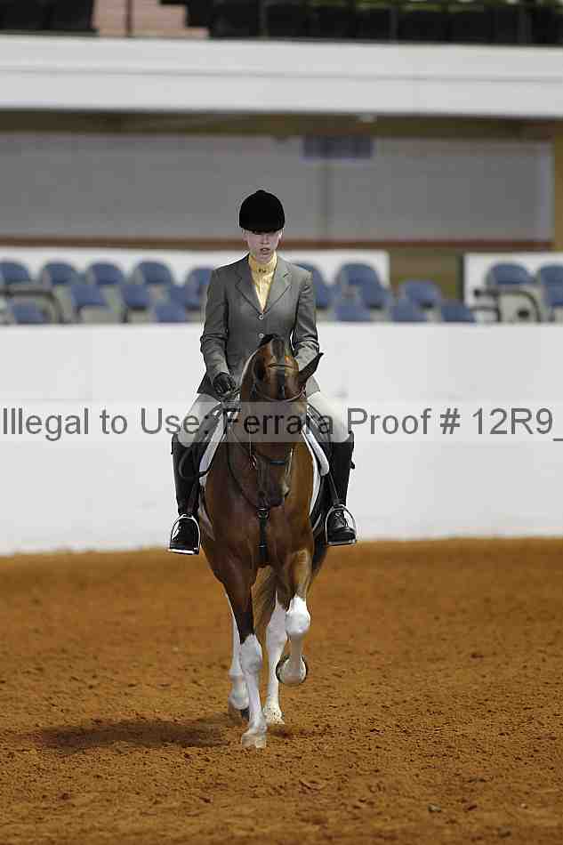 Proof Number 12r9_4643