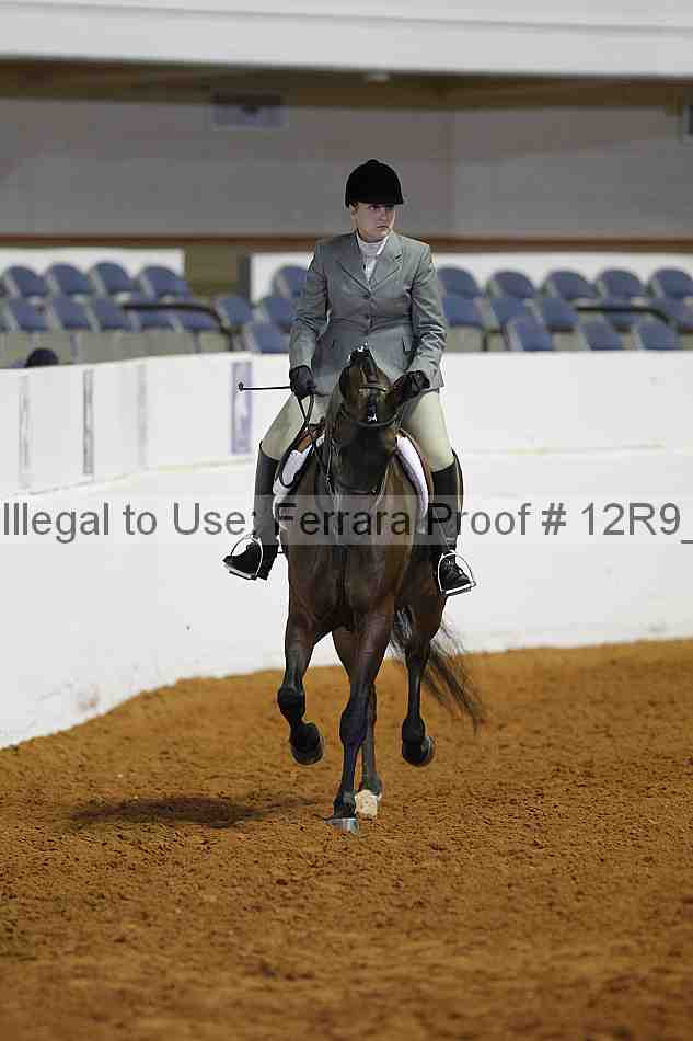 Proof Number 12r9_4646