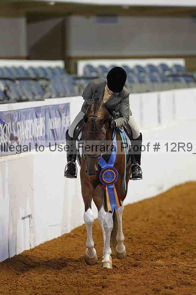 Proof Number 12r9_4690