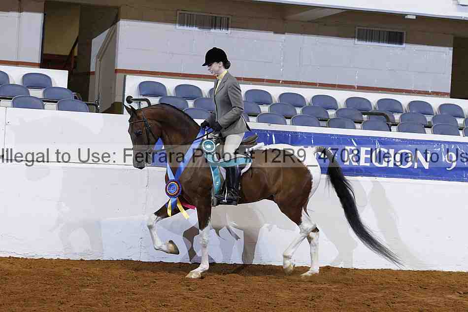 Proof Number 12r9_4708
