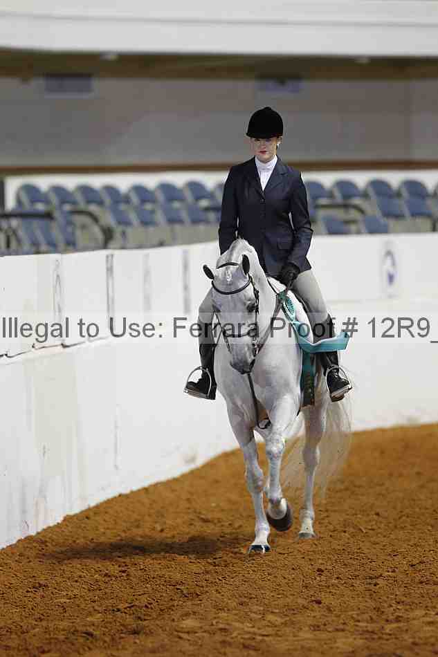 Proof Number 12r9_4709