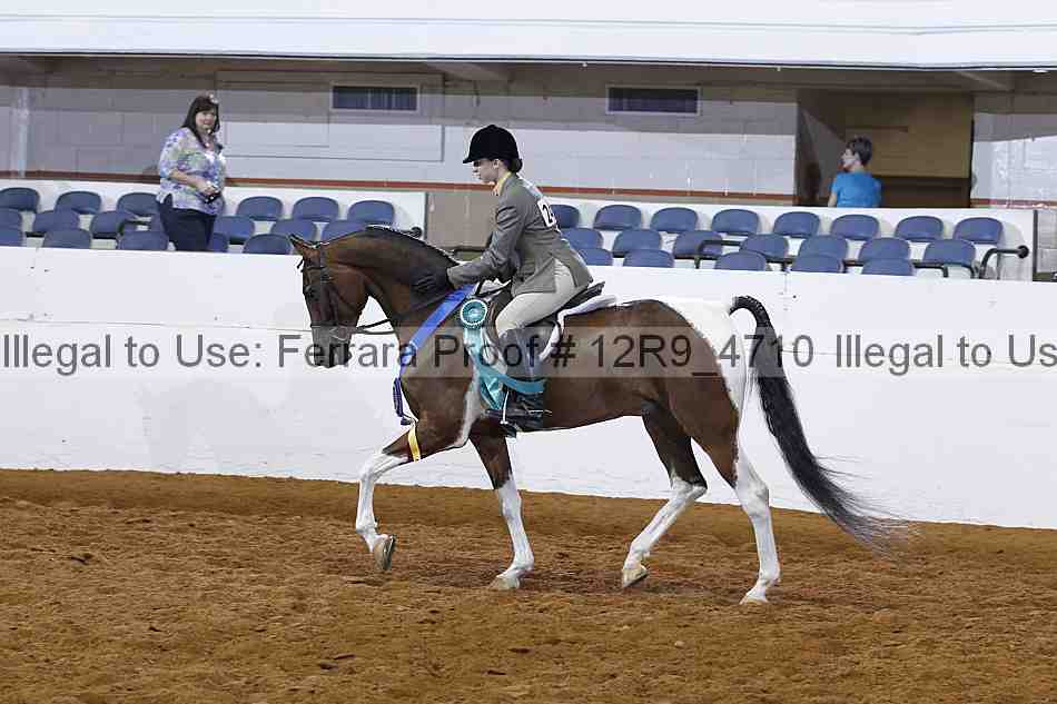 Proof Number 12r9_4710