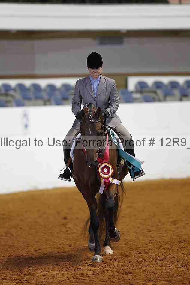 Proof Number 12r9_4712
