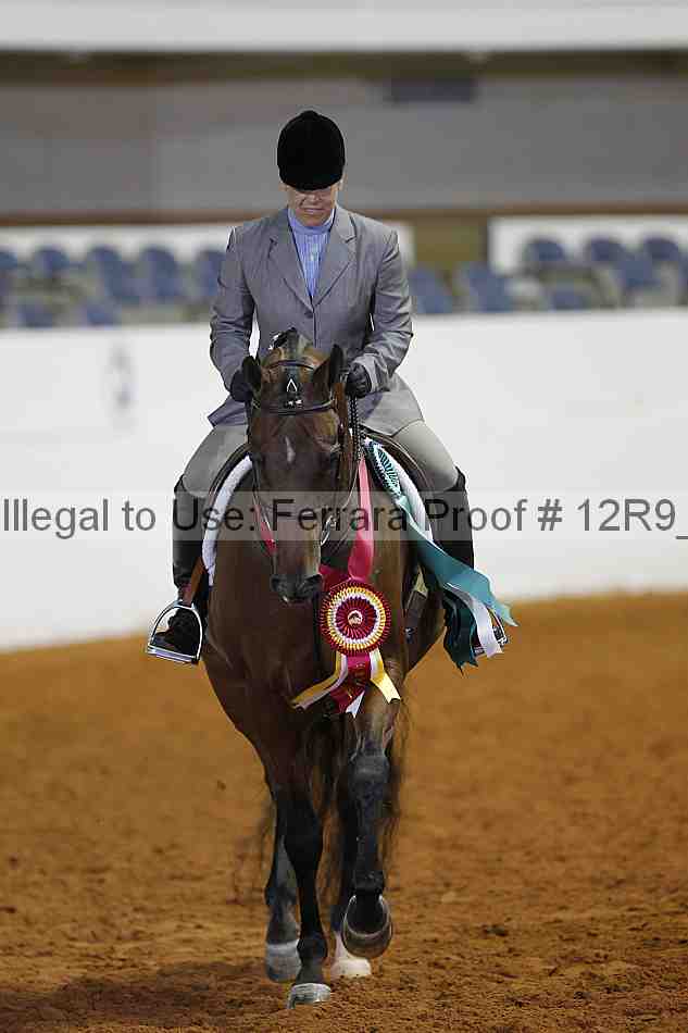Proof Number 12r9_4713