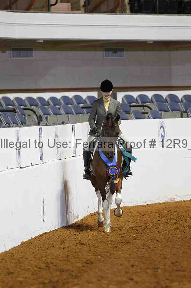 Proof Number 12r9_4715