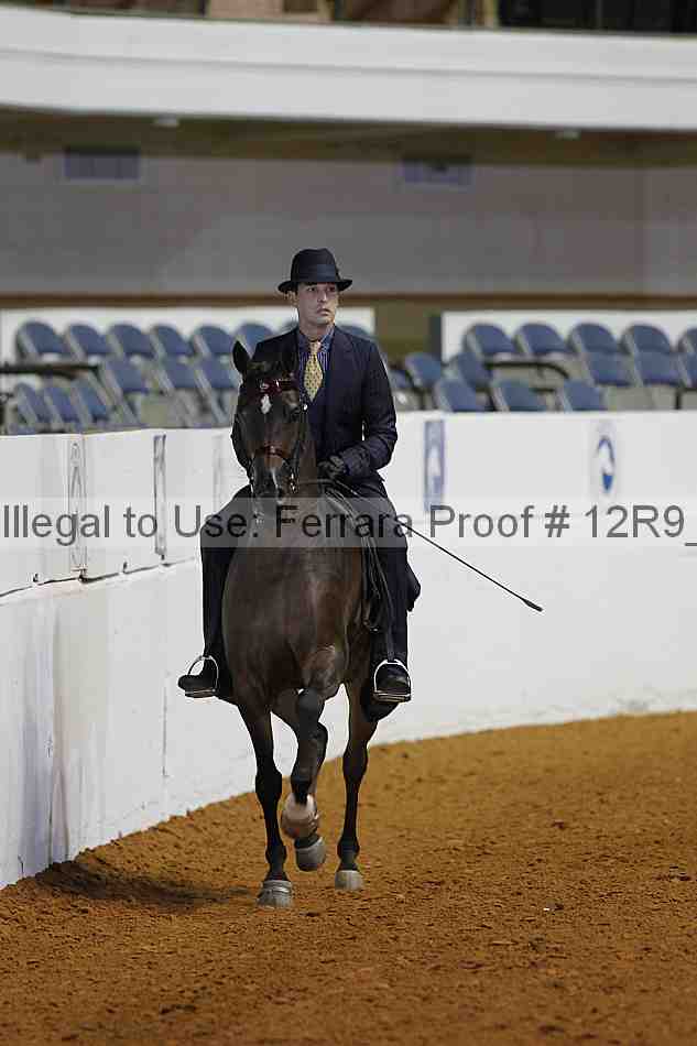 Proof Number 12r9_3821