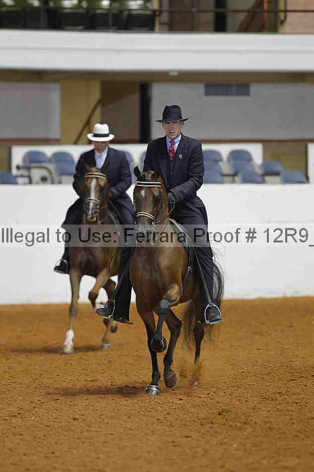 Proof Number 12r9_3833