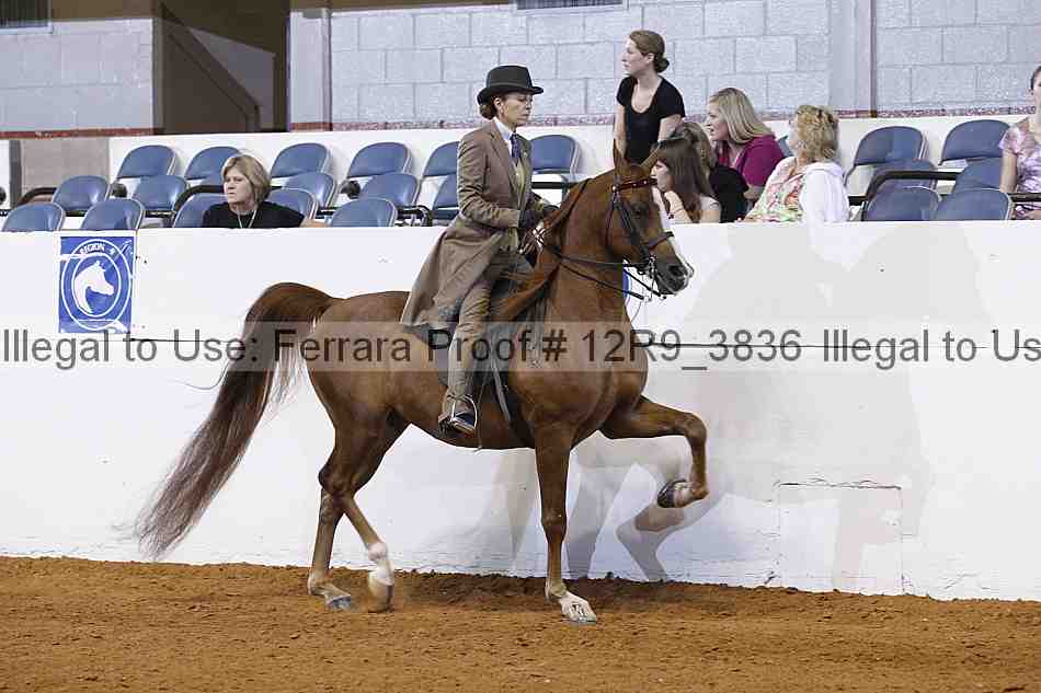 Proof Number 12r9_3836