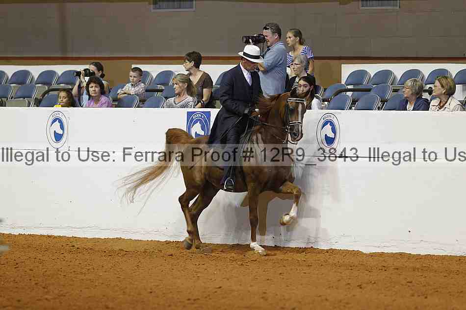 Proof Number 12r9_3843