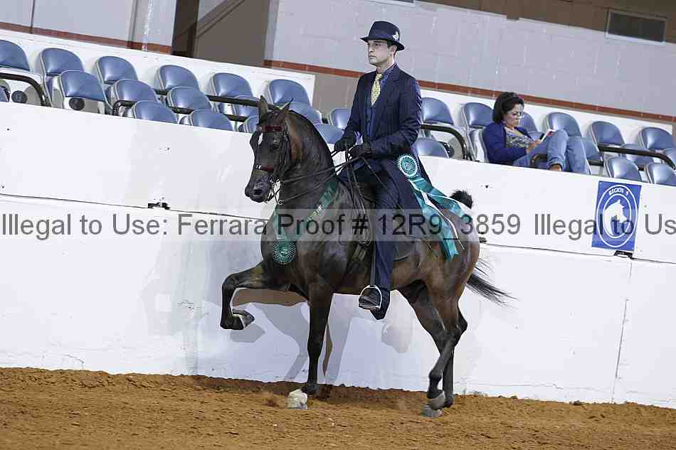 Proof Number 12r9_3859