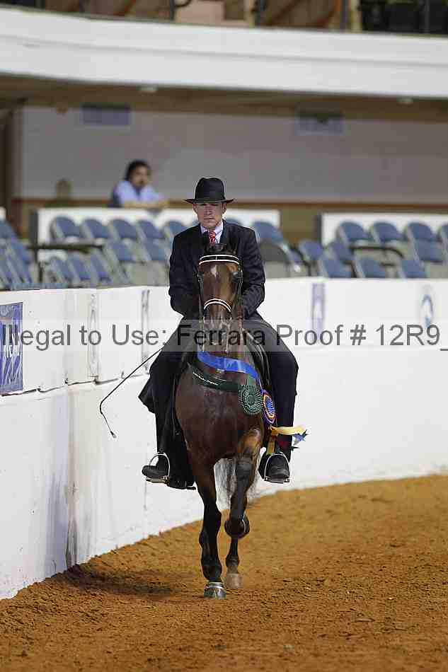Proof Number 12r9_3875
