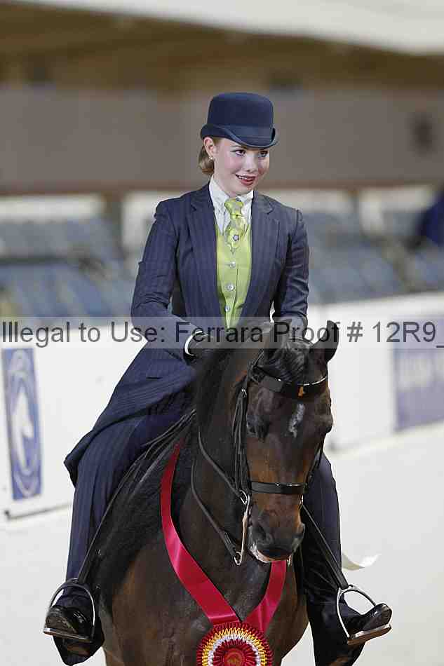 Proof Number 12r9_3893