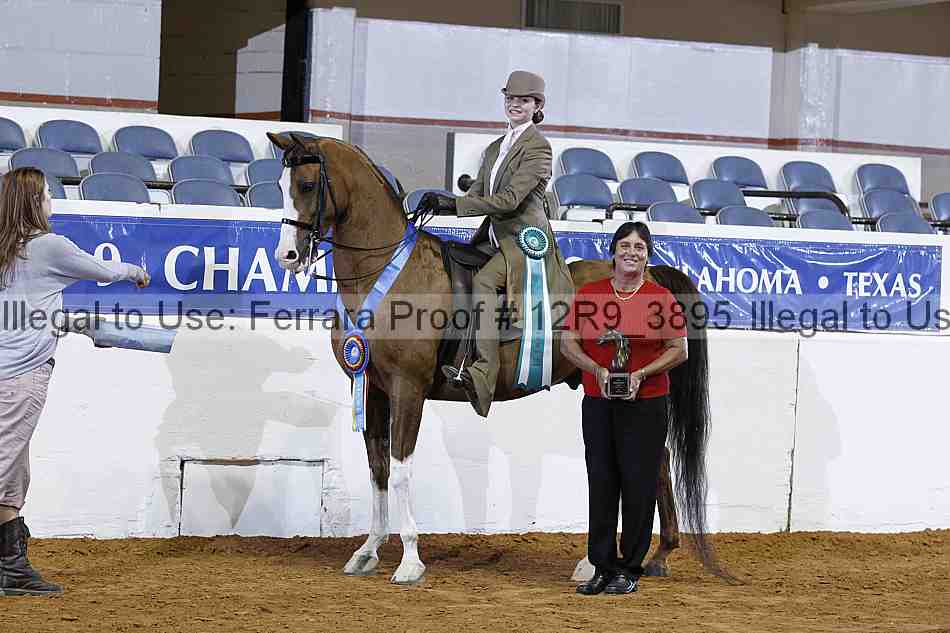 Proof Number 12r9_3895