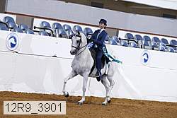 12r9_3901 thumbnail